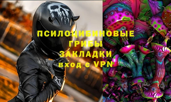 трава Армянск